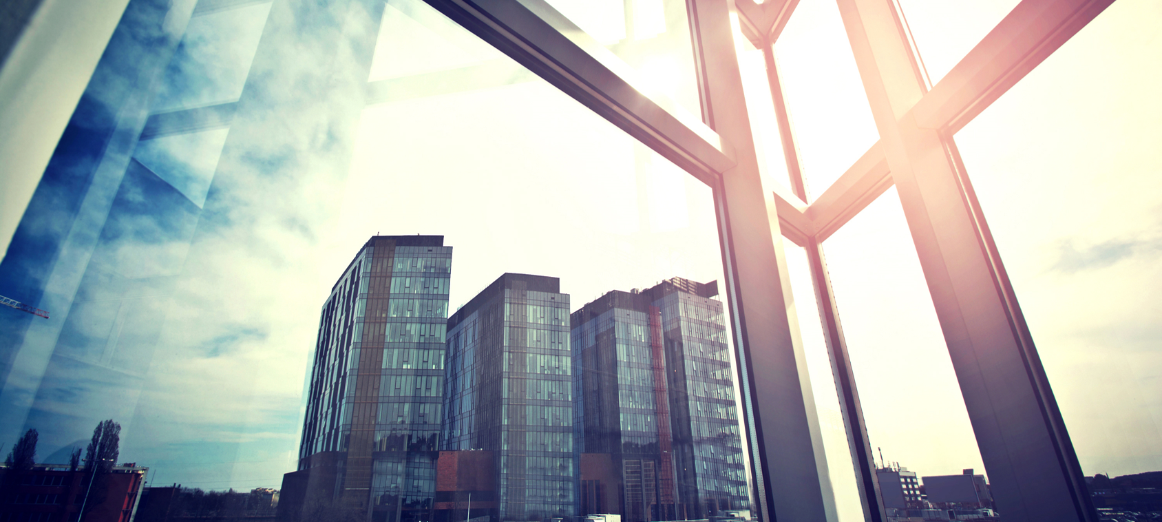 CTL - transformación digital